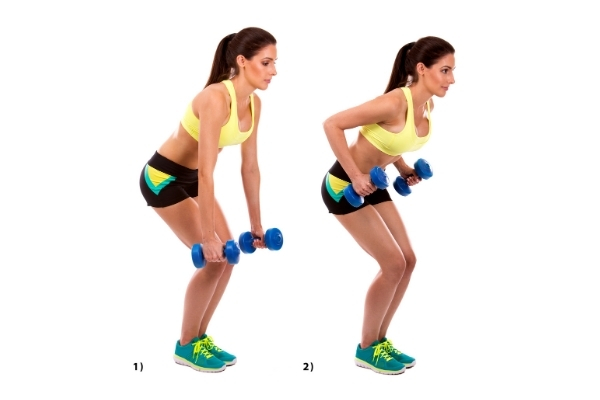 Bent Over Dumbbell Rows