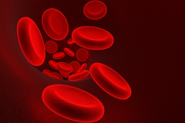 Vitamin B6 tạo hồng cầu