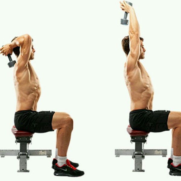 Bài tập Seated Triceps Press