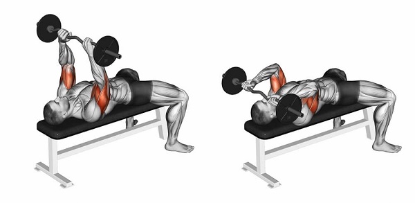 Bài tập Lying Triceps Press