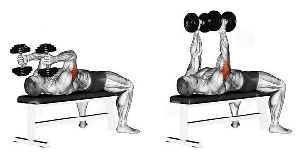 Bài tập Lying Dumbbell Tricep Extension