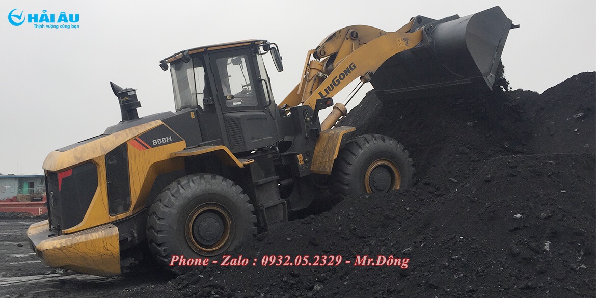 Máy Xúc Lật Liugong CLG855H