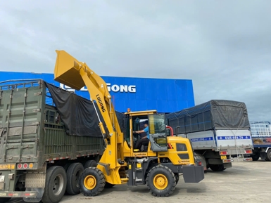 Máy Xúc Đổ Cao LuGong T930LA