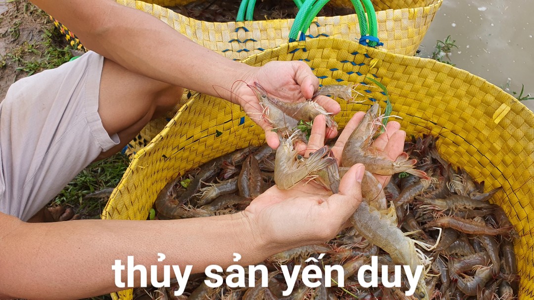 US BIO ZIM MEN Ủ NHÂN SINH KHỐI hạ chi phí - nâng hiệu quả