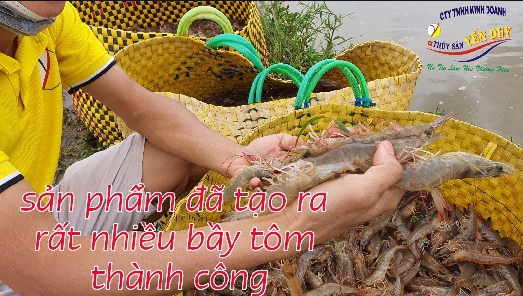MICRRO AQUA chiến binh đường ruột