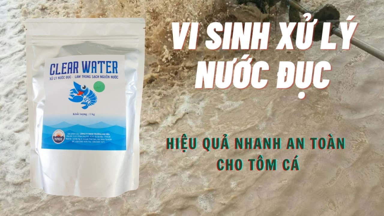CLEAR WATER_ vi sinh xử lý nước đục.
