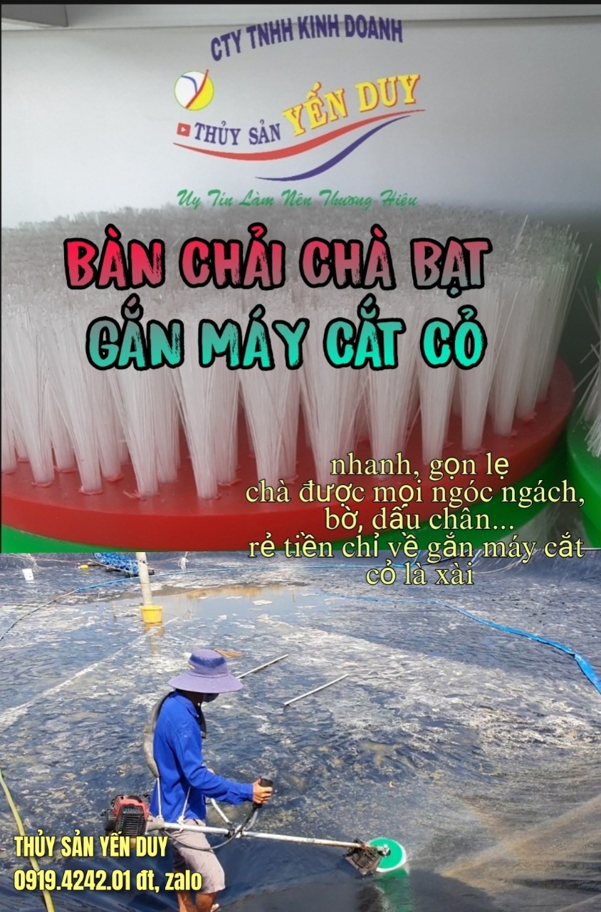 BÀN CHẢI CHÀ BẠT BẰNG MÁY CẮT CỎ