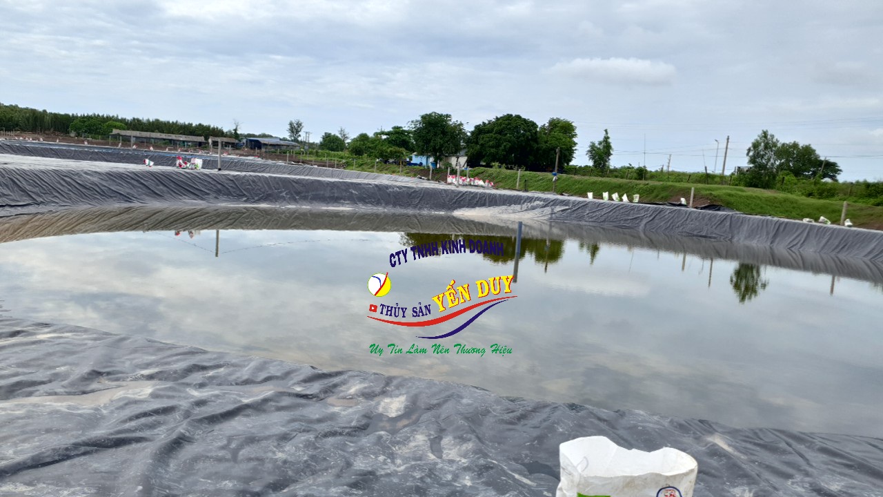 LẮP ĐẶT AO BẠT CÔNG NGHỆ CAO