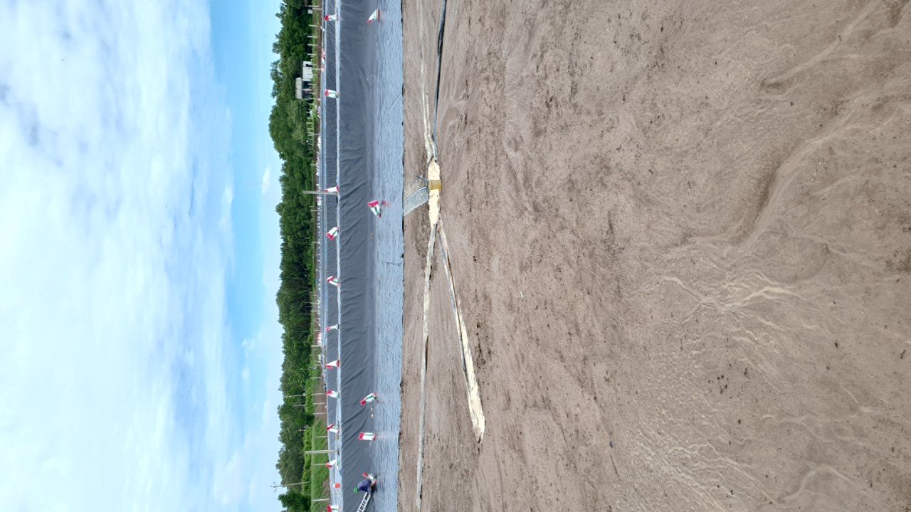 LẮP ĐẶT AO BẠT CÔNG NGHỆ CAO