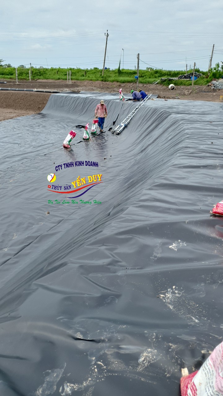 LẮP ĐẶT AO BẠT CÔNG NGHỆ CAO