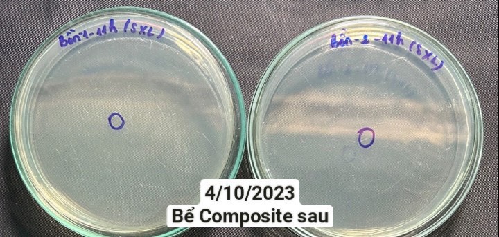 MÁY ĐIỆN PHÂN TẠO CLO XỬ LÝ NƯỚC