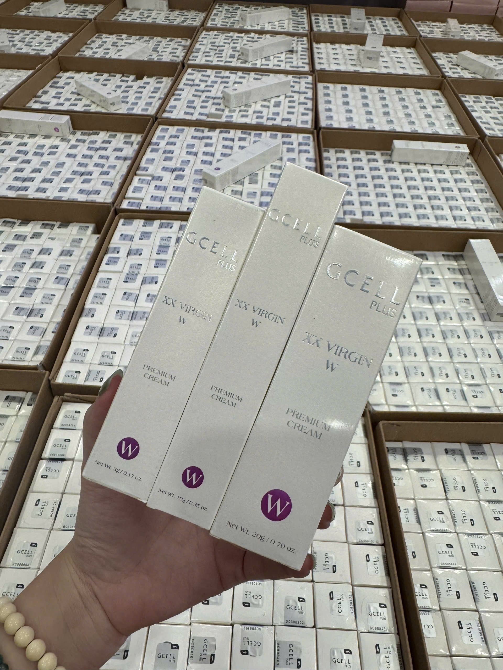 Hồng Nhủ Hoa Gcell N