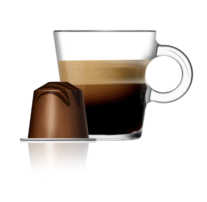 스위스 네스프레소 바리스타 크리에이션 코코아향 트러플 커피 5G*10개입 NESTLE Nespresso Ca phe may Barista creations coca trufle