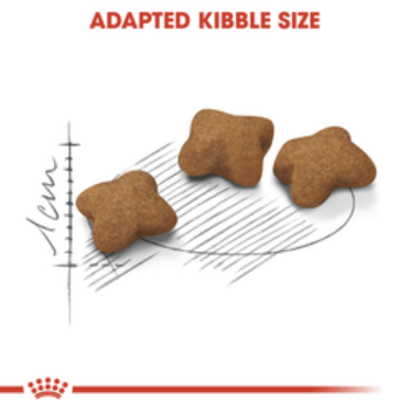 로얄캐닌 키튼 고양이 사료 2KG ROYAL CANIN Thuc an cho meo Kitten