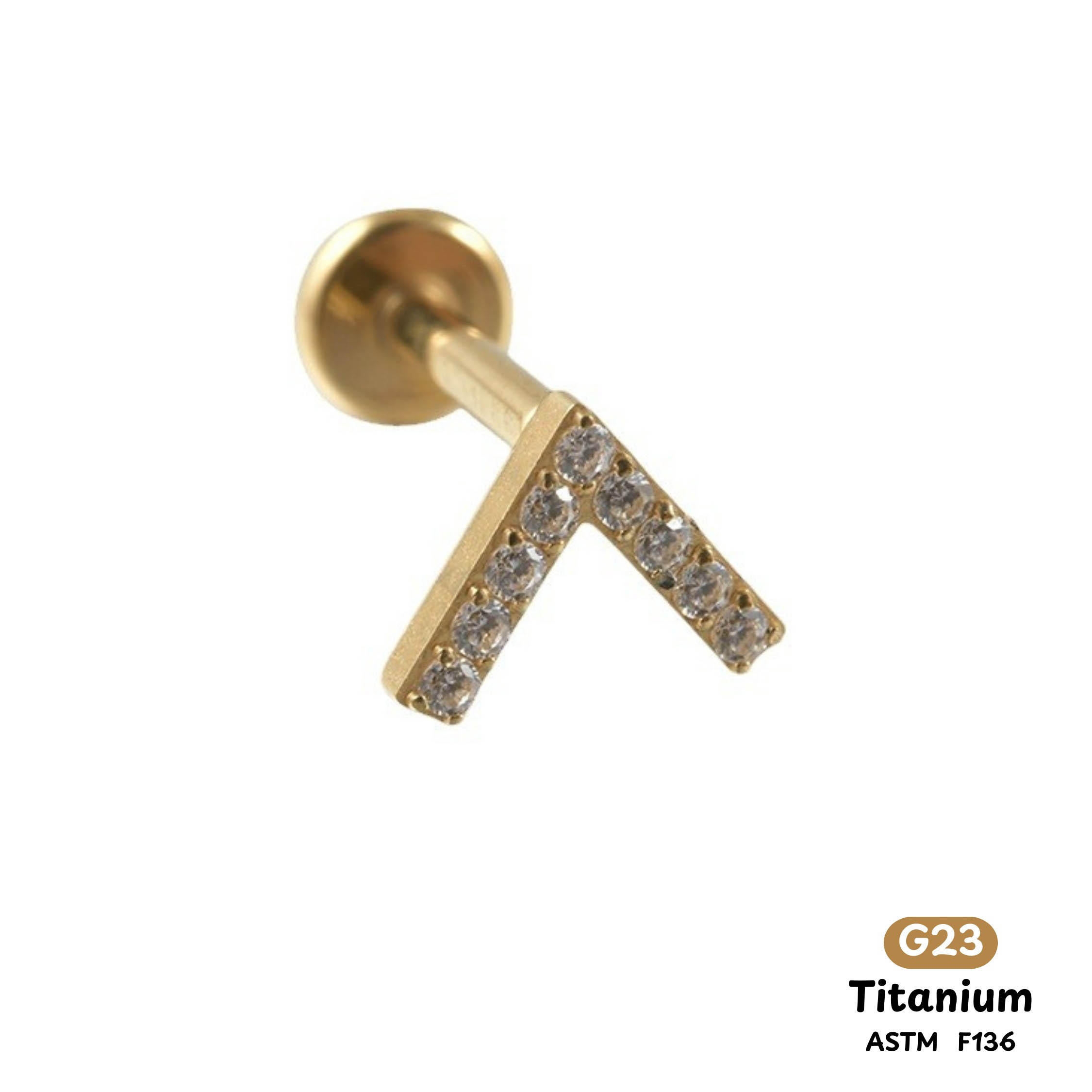 Khuyên Tai Titanium 002