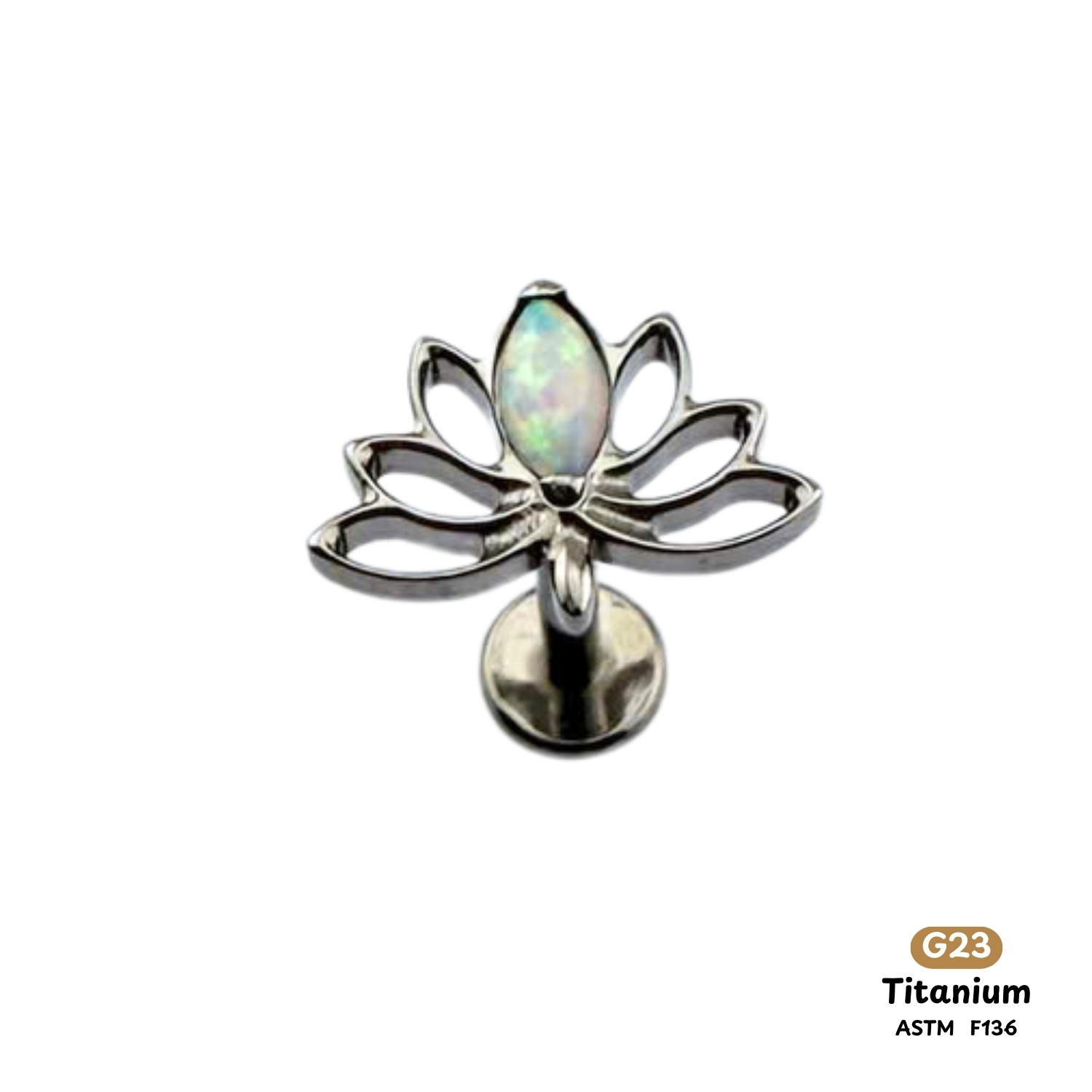 Khuyên Tai Titanium 0172