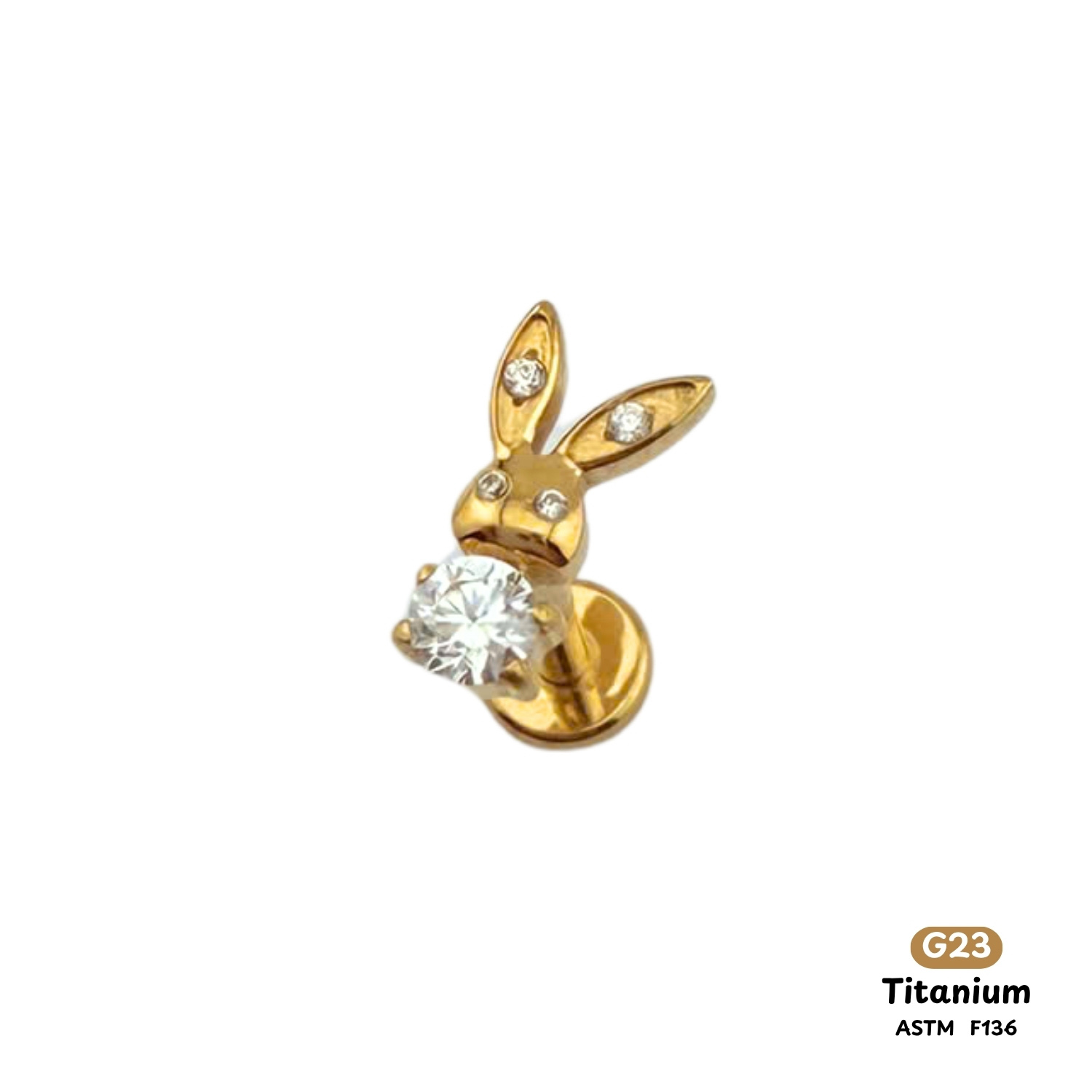 Khuyên Tai Titanium 0116