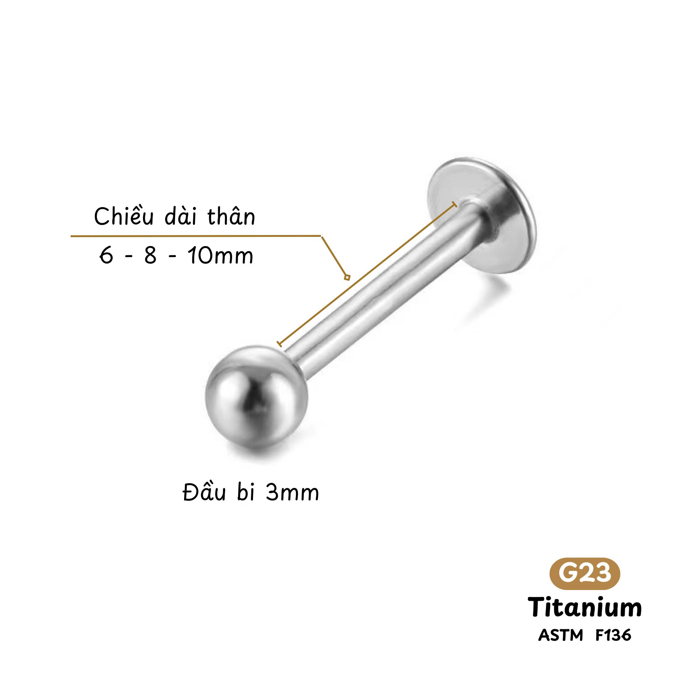 Khuyên Tai Titanium 008
