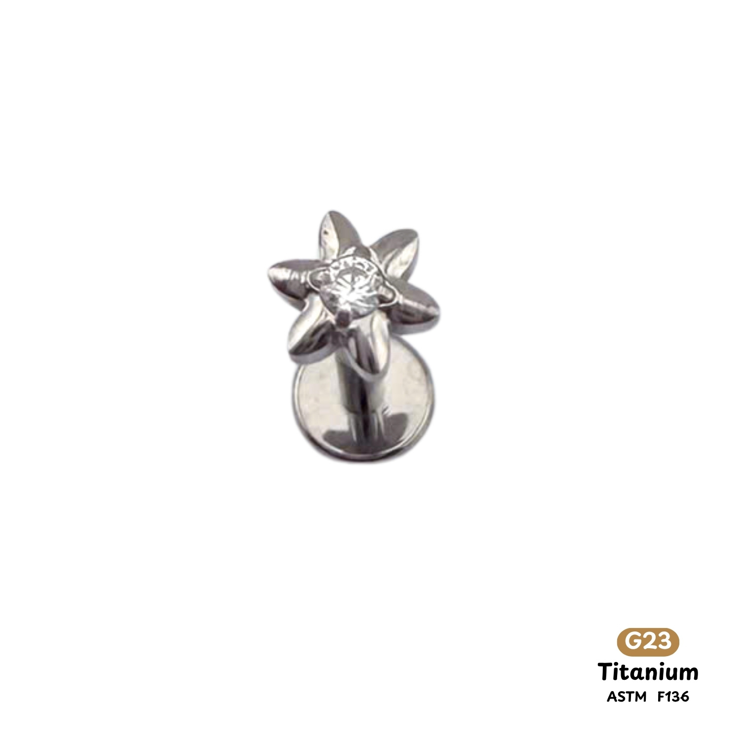 Khuyên Tai Titanium 0176