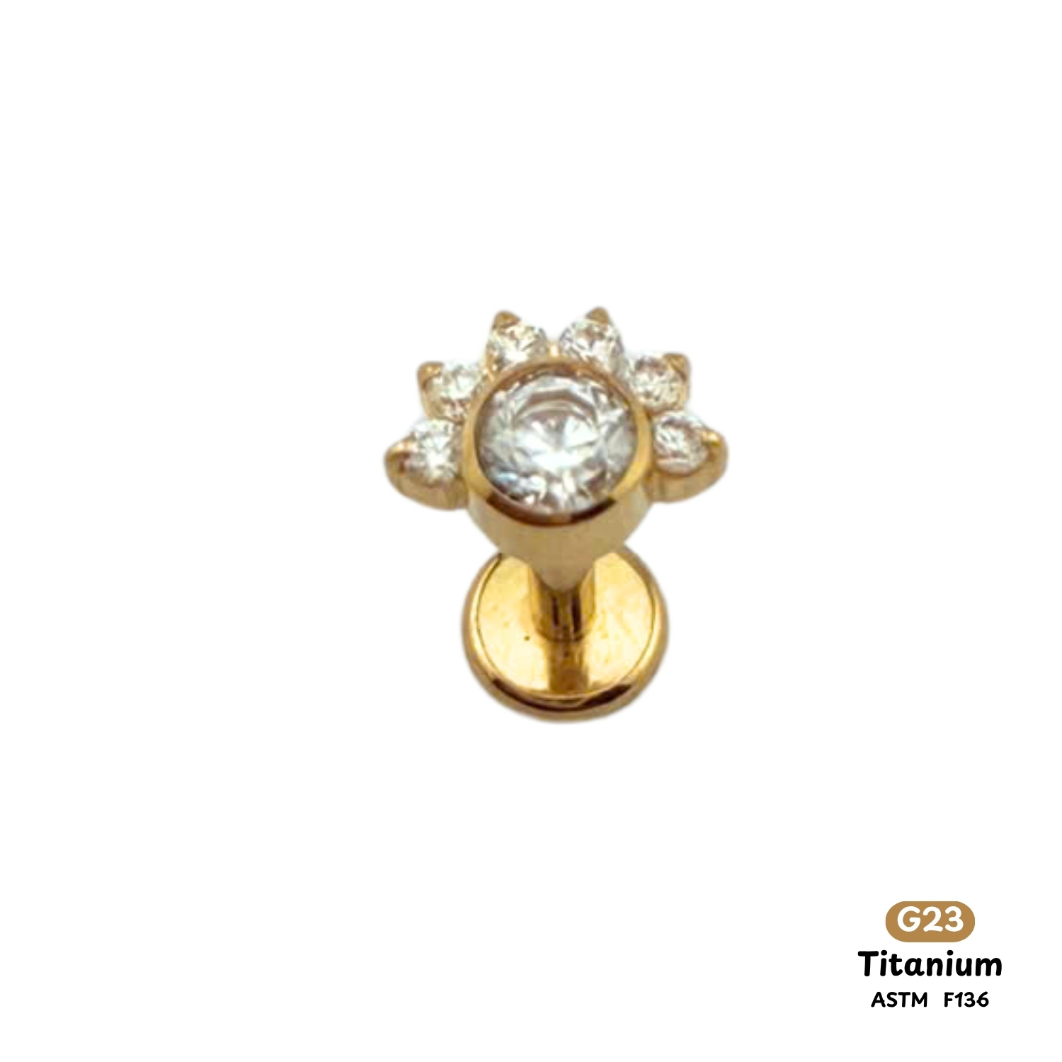 Khuyên Tai Titanium 0166