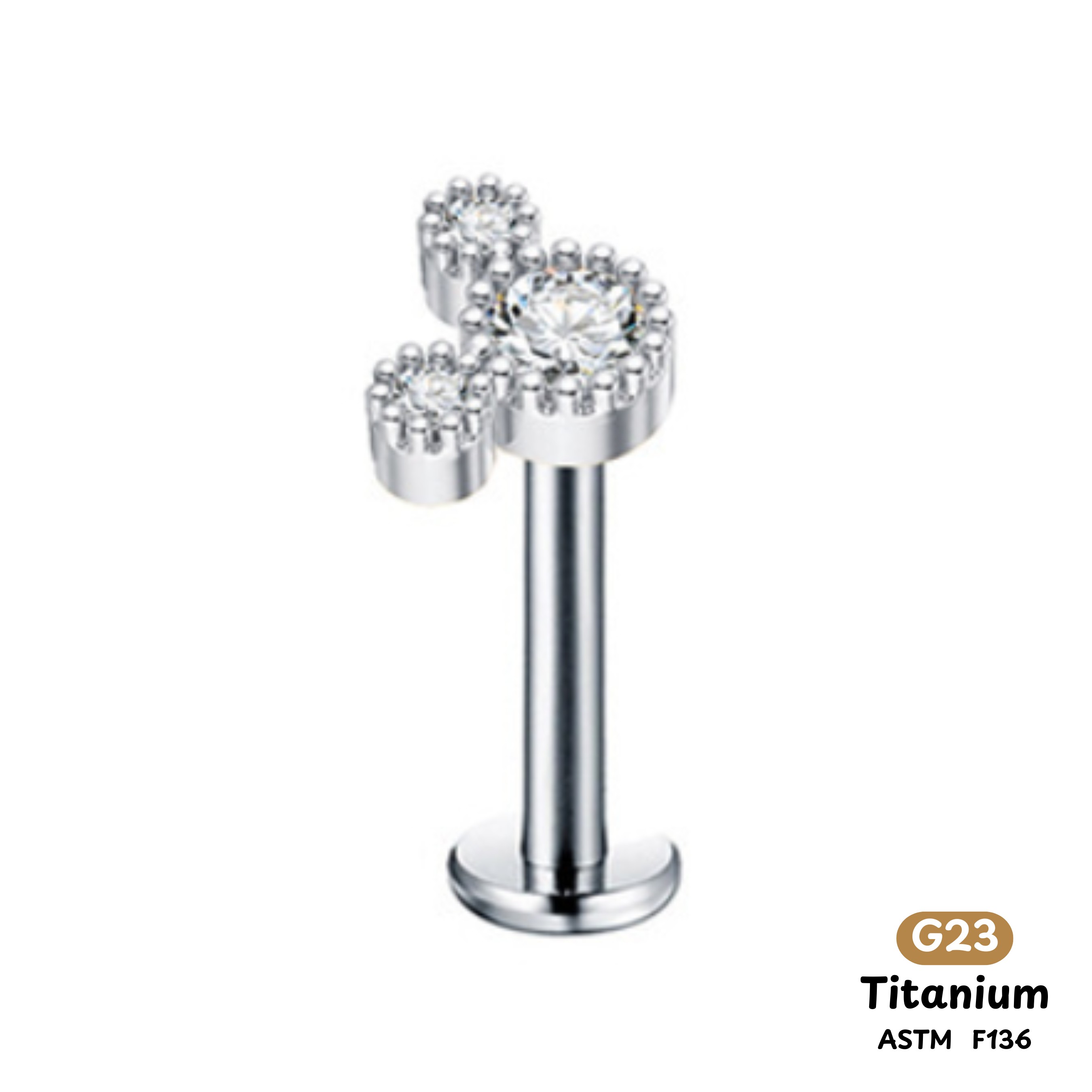 Khuyên Tai Titanium 0022