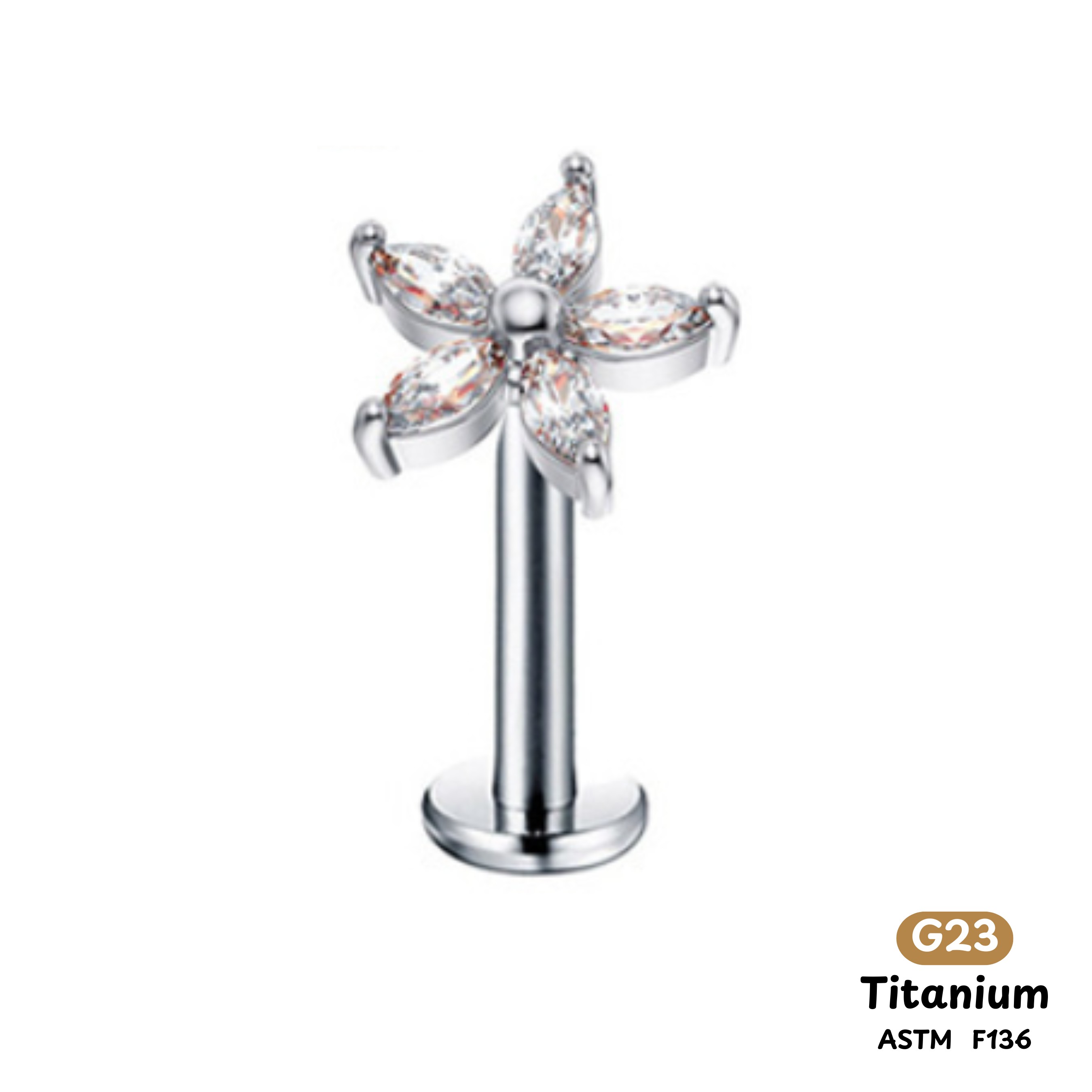 Khuyên Tai Titanium 0024