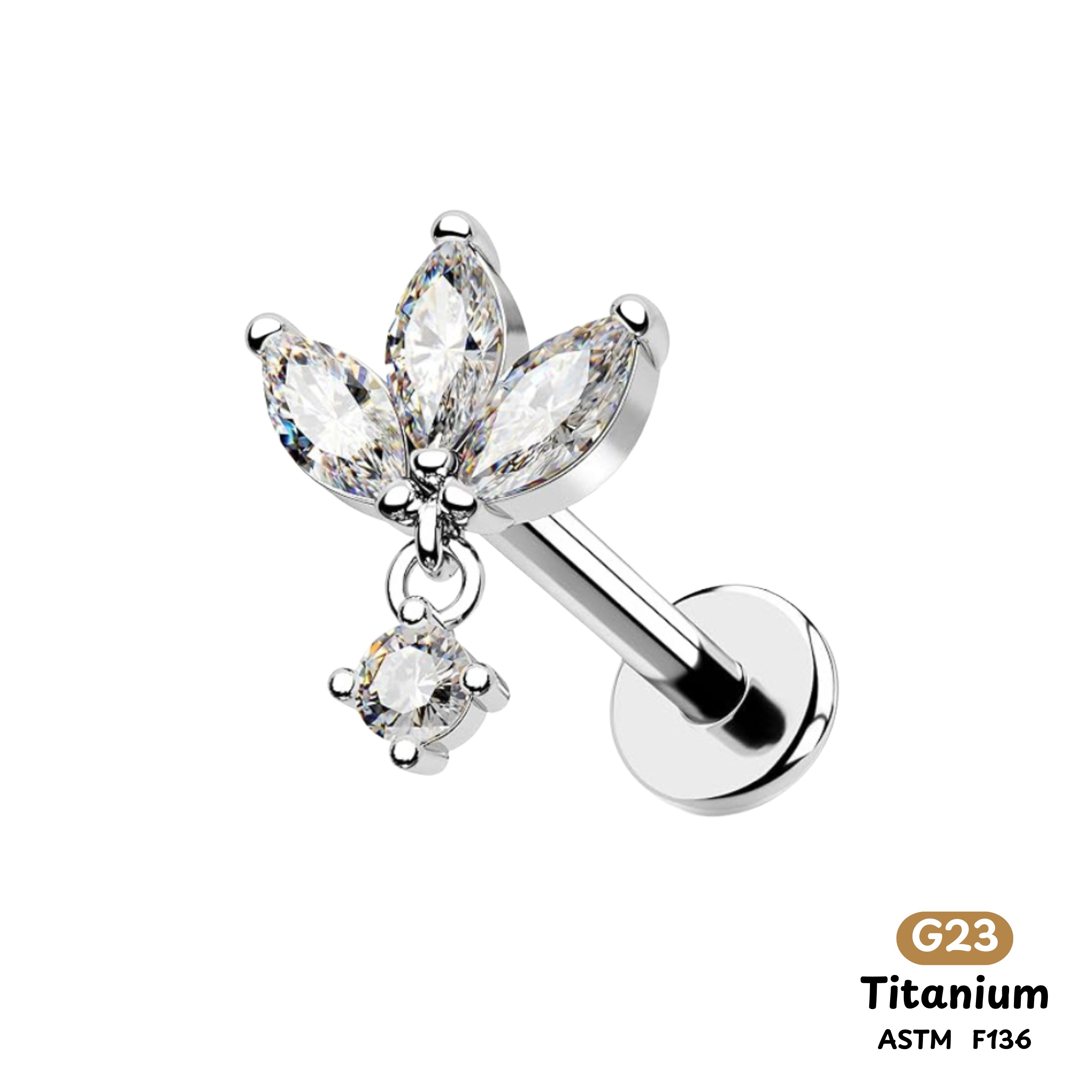 Khuyên Tai Titanium 0026