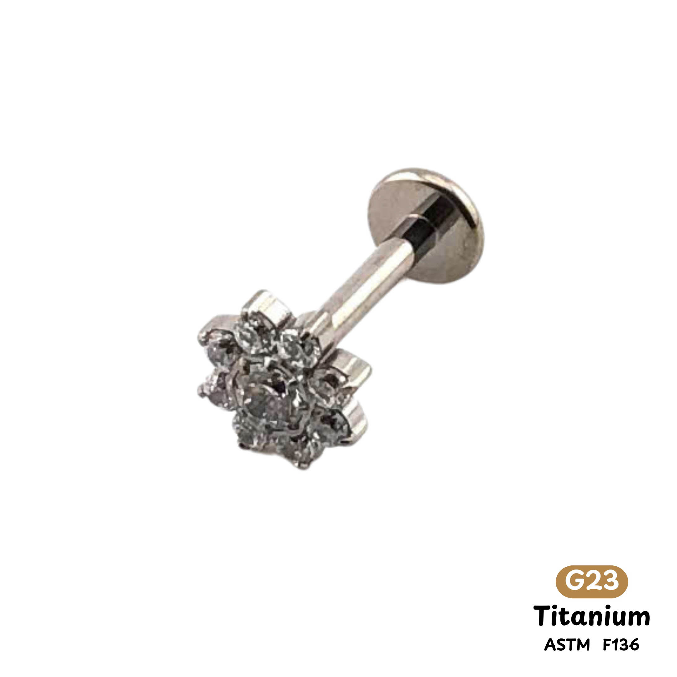 Khuyên Tai Titanium 0042