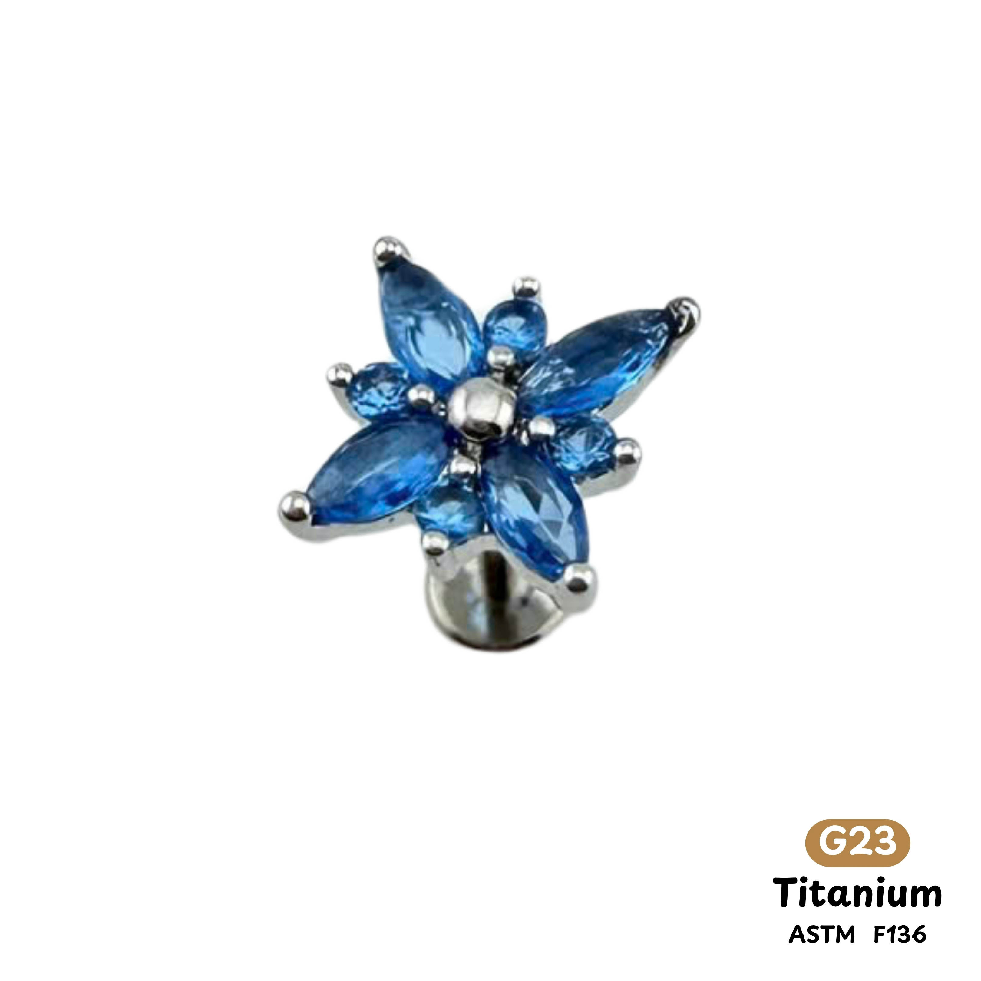 Khuyên Tai Titanium 0068
