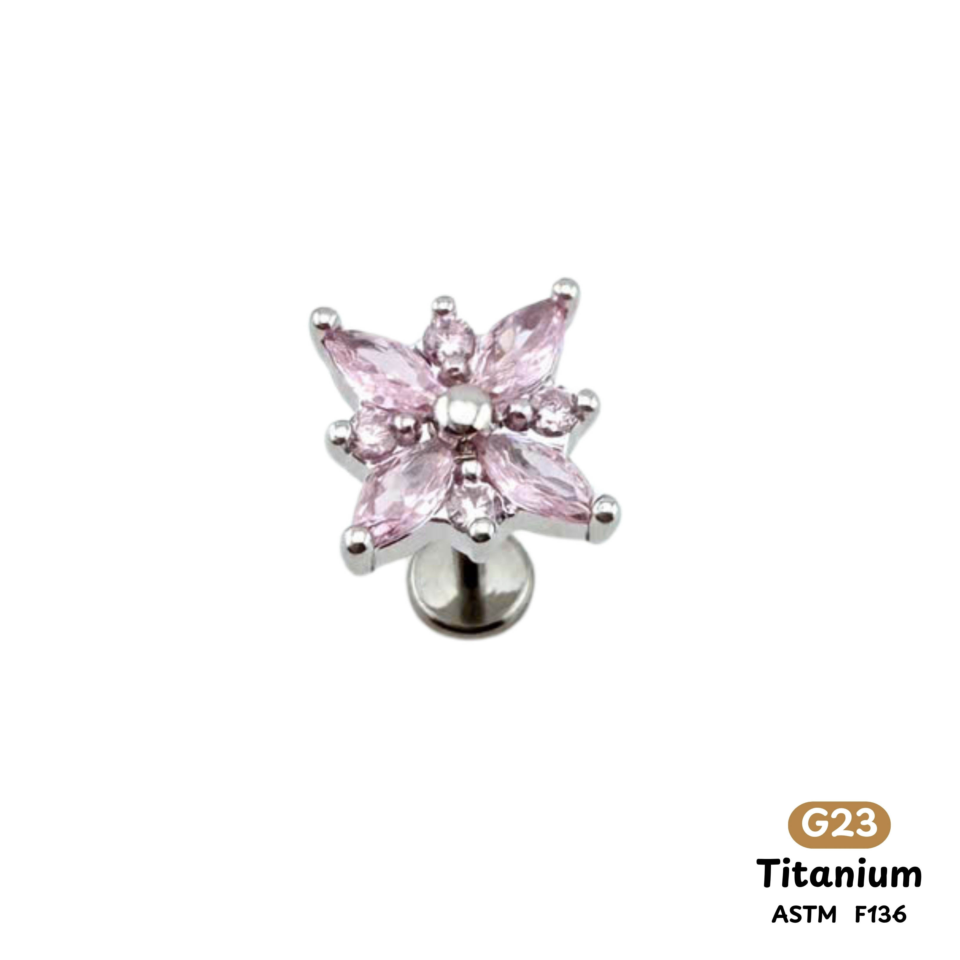 Khuyên Tai Titanium 0068