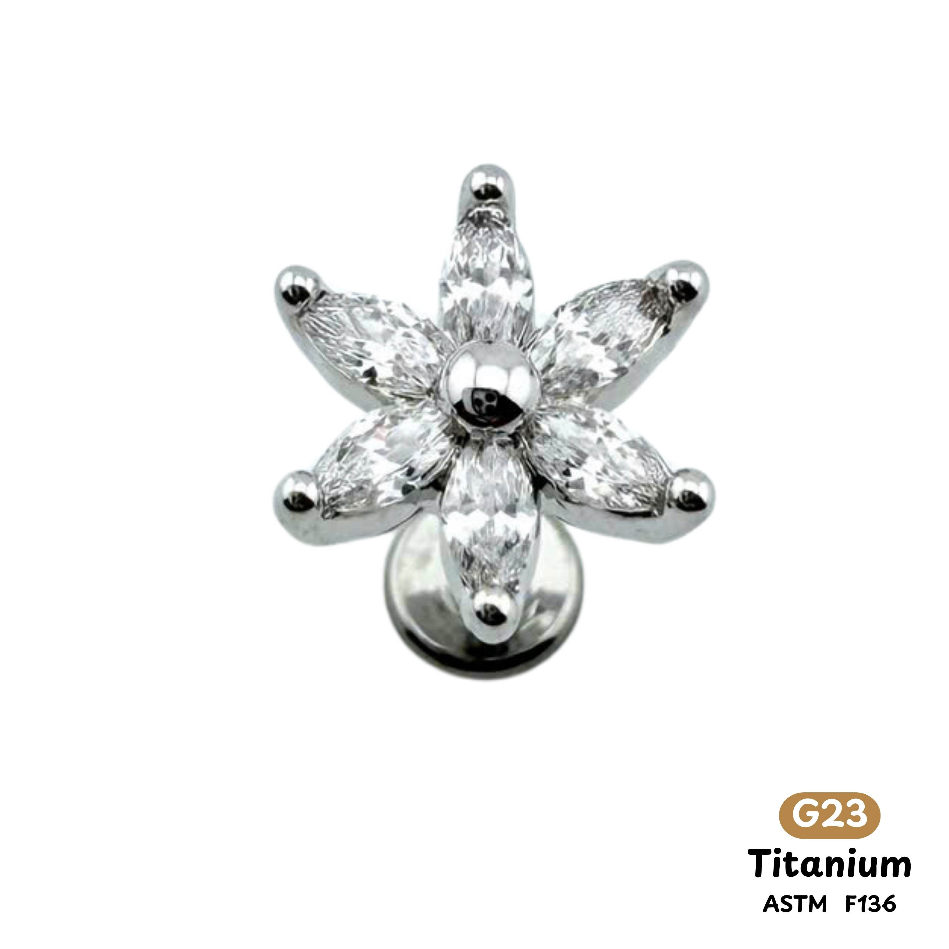 Khuyên Tai Titanium 0070
