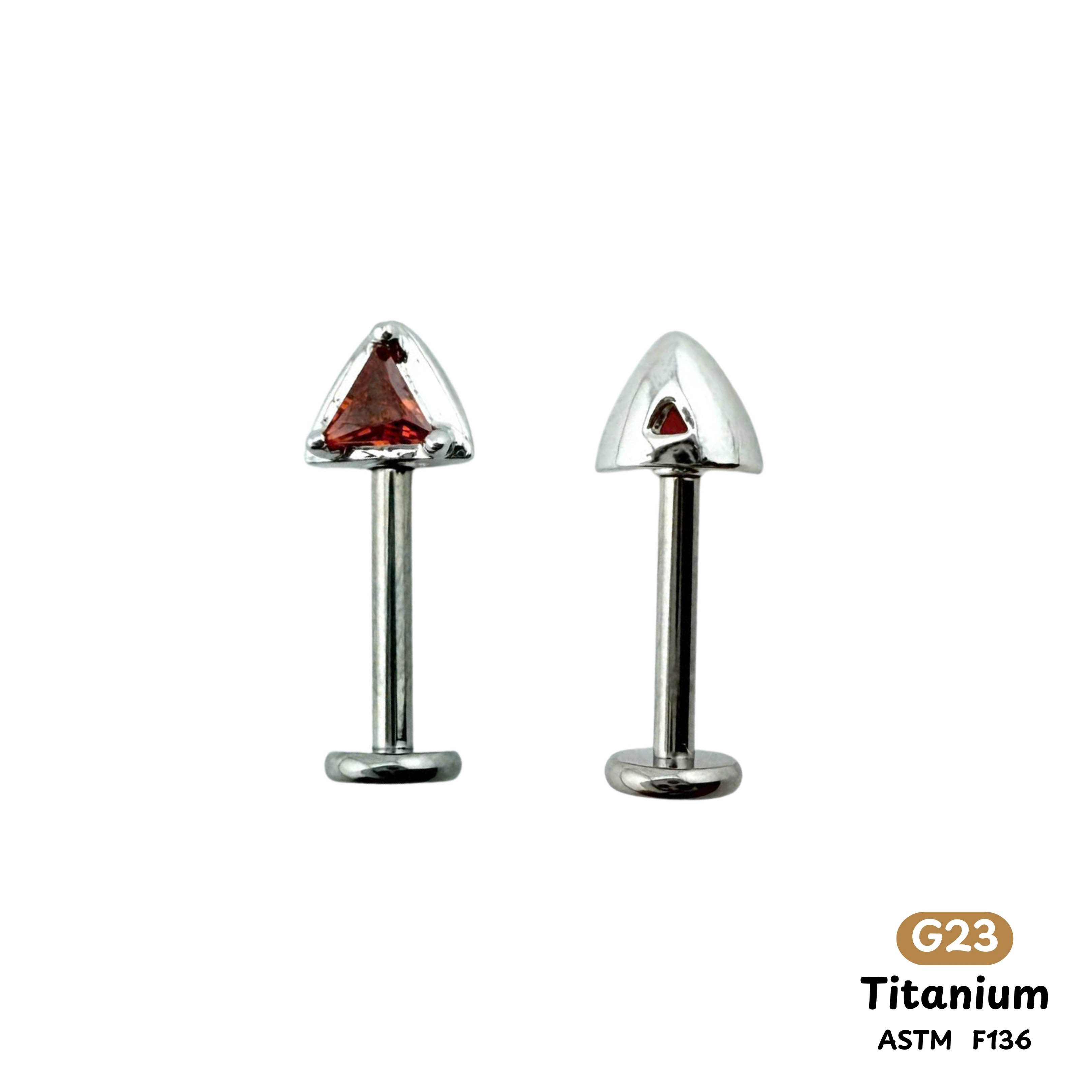 Khuyên Tai Titanium 0071