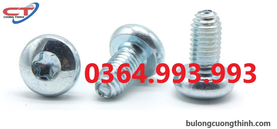 bulong-tu-ren-m6x10-m6x12-bulong-tu-taro-vit-tu-taro