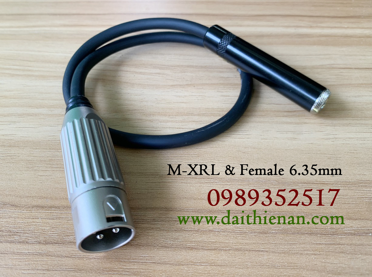 TAD-039 Dây Chuyển 6li cái ra canon đực 30cm - Dùng kết nối micro đa ...