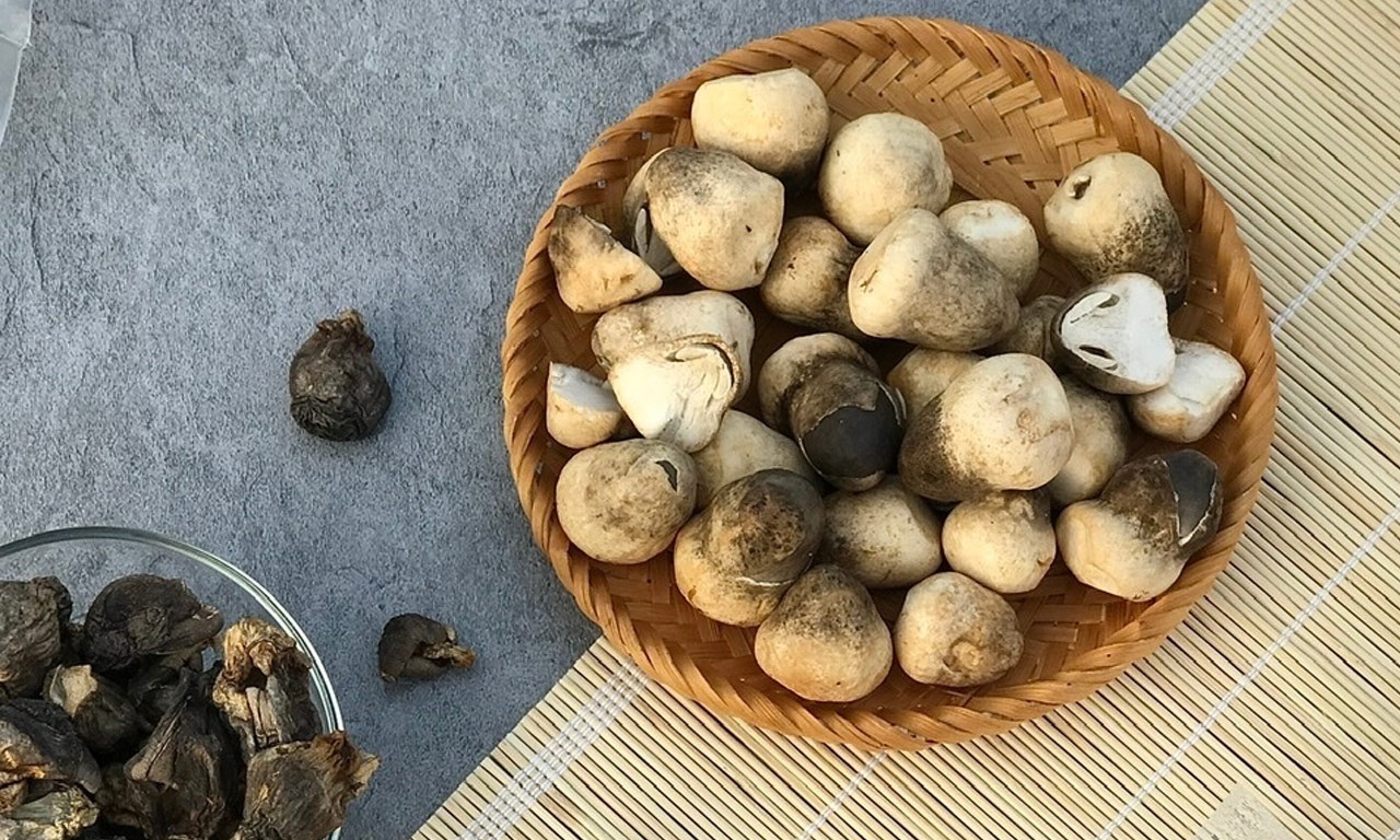 5 công thức món ăn với nấm rơm ngon tuyệt ăn mãi không ngán