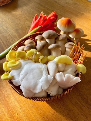 Đông hồ thông minh