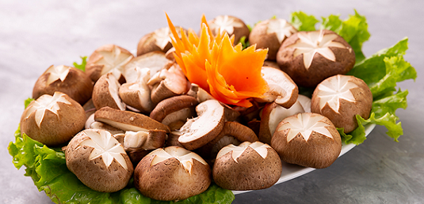 Khuyến mãi lớn chào xuân