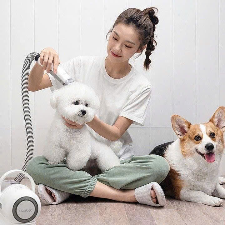 Ổ Cắm Điện Thông Minh DEVZONE – Giải Pháp Cho Người Nuôi Thú Cưng Tại Nhà