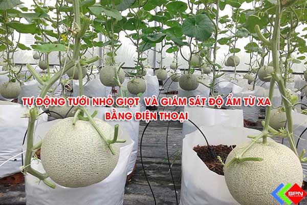 Điều Khiển Máy Bơm Nước Từ Xa Bằng Điện Thoại