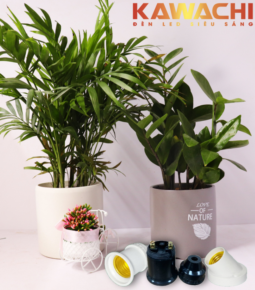 ĐUI ĐÈN KAWACHI - MANG CHẤT LƯỢNG ĐẾN CUỘC SỐNG