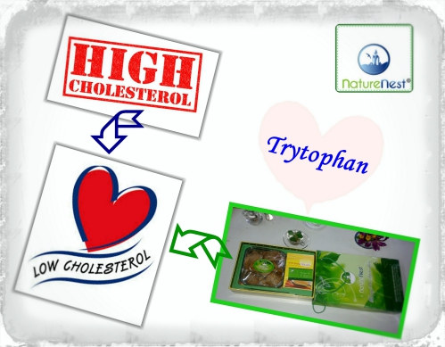 Yến sào giúp hạ cholesterol Yến sào giúp hạ cholesterol