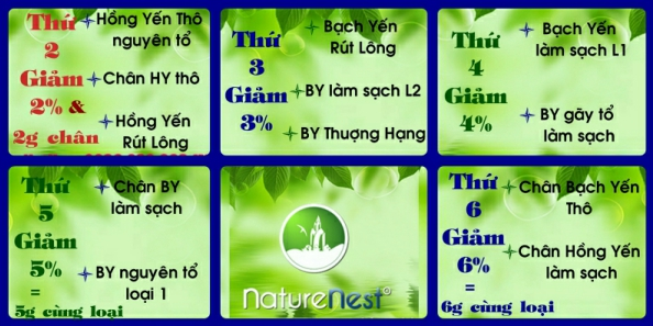 20/10: Nửa Thế Giới_Trọn Yêu Thương cùng NatureNest