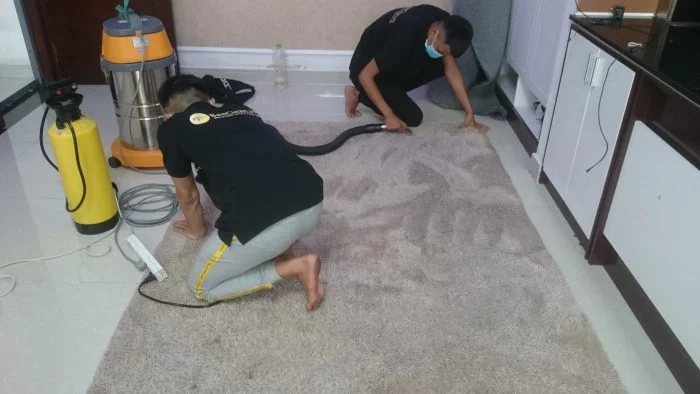 dịch vụ giặt thảm chuyên nghiệp uy tín giá rẻ tại hà nội,