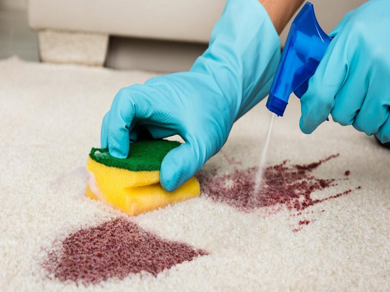 giặt thảm chuyên nghiệp giá rẻ tại vũ thạch đống đa hà nội