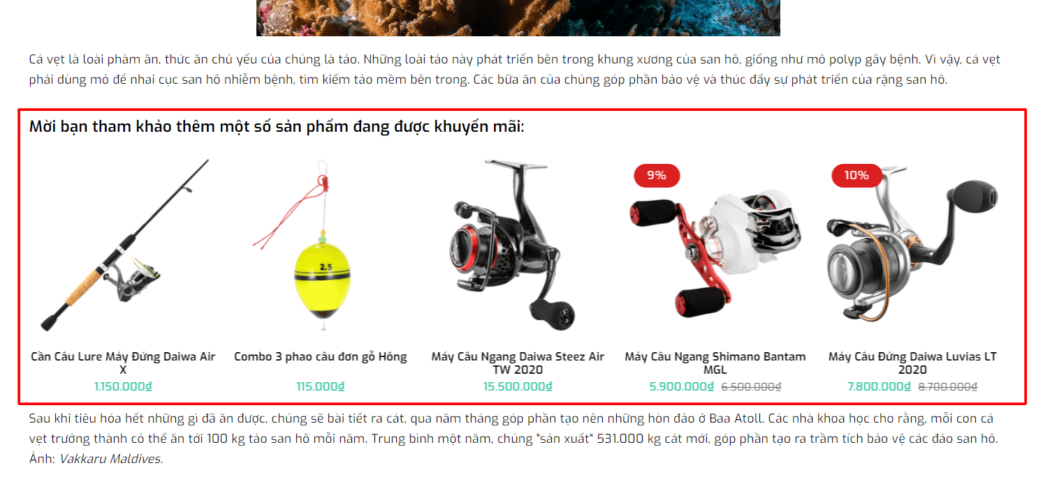 Evo Fishing Sản phẩm trong tin tức