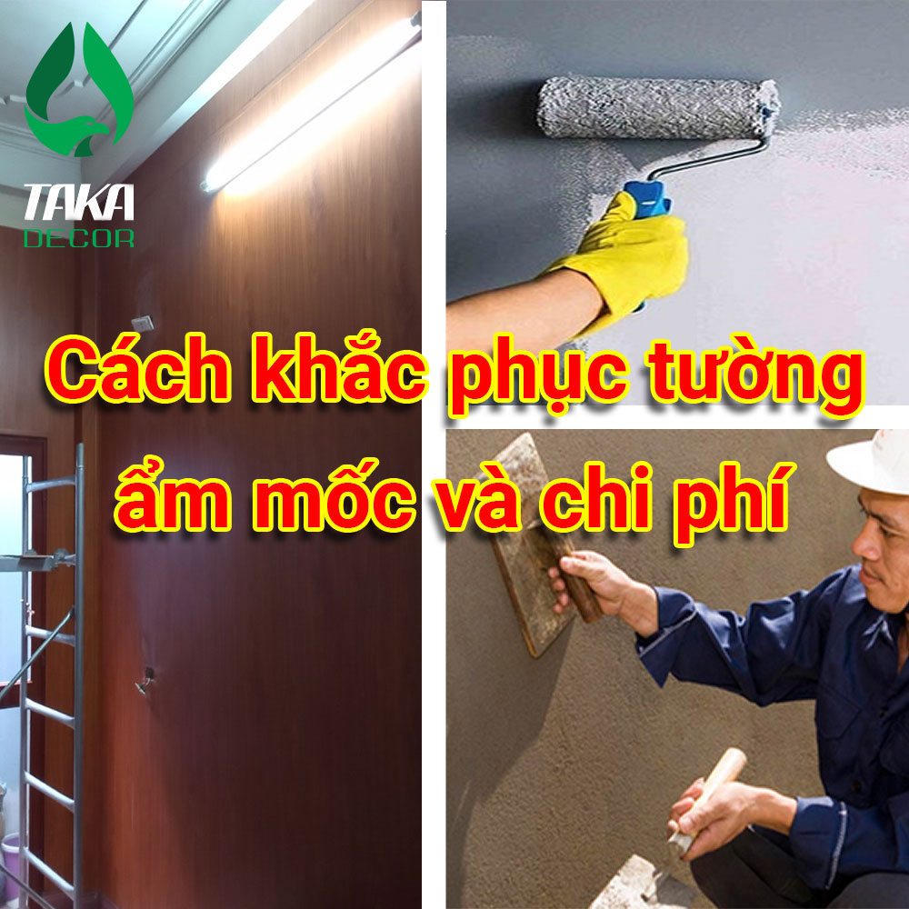 Tấm ốp tường PVC | Tường bị mốc thì phải làm thế nào