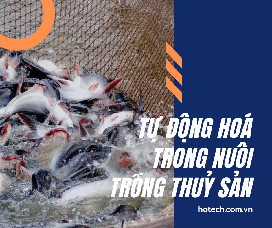 SỰ LÊN NGÔI CỦA HỆ THỐNG TỰ ĐỘNG HÓA TRONG NUÔI TRỒNG THỦY SẢN