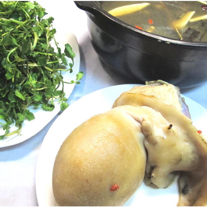 NGỌC DƯƠNG TIỀM THUỐC BẮC