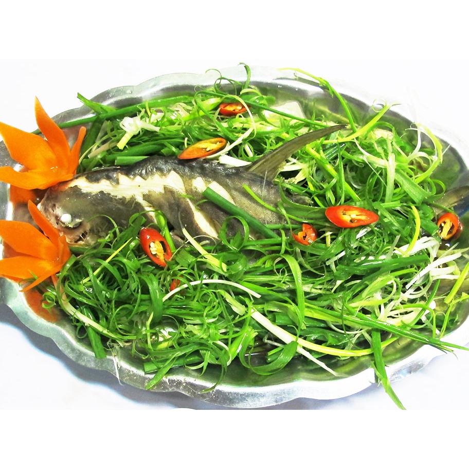 CÁ CHIM TRẮNG HẤP HỒNG KÔNG