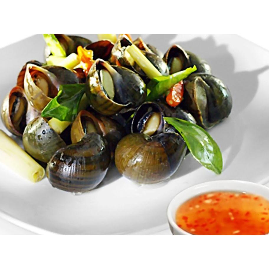 ỐC BƯƠU HẤP SẢ / HẤP GỪNG